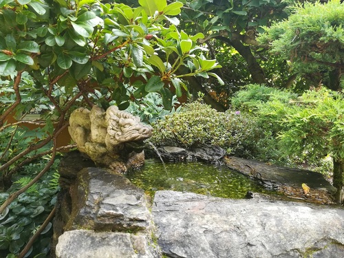 ściana wodna w ogrodzie - jak ją zrobić?